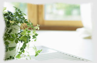 ○○○○○○○○イメージ